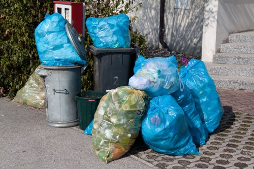 Home renovation project with a hired skip