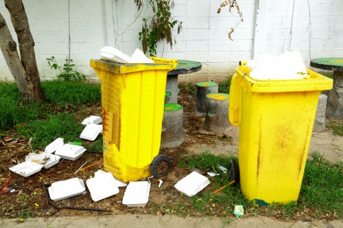 Different skip sizes lined up for selection
